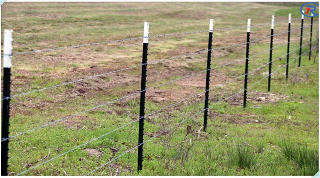 Poste en T con tachuelas